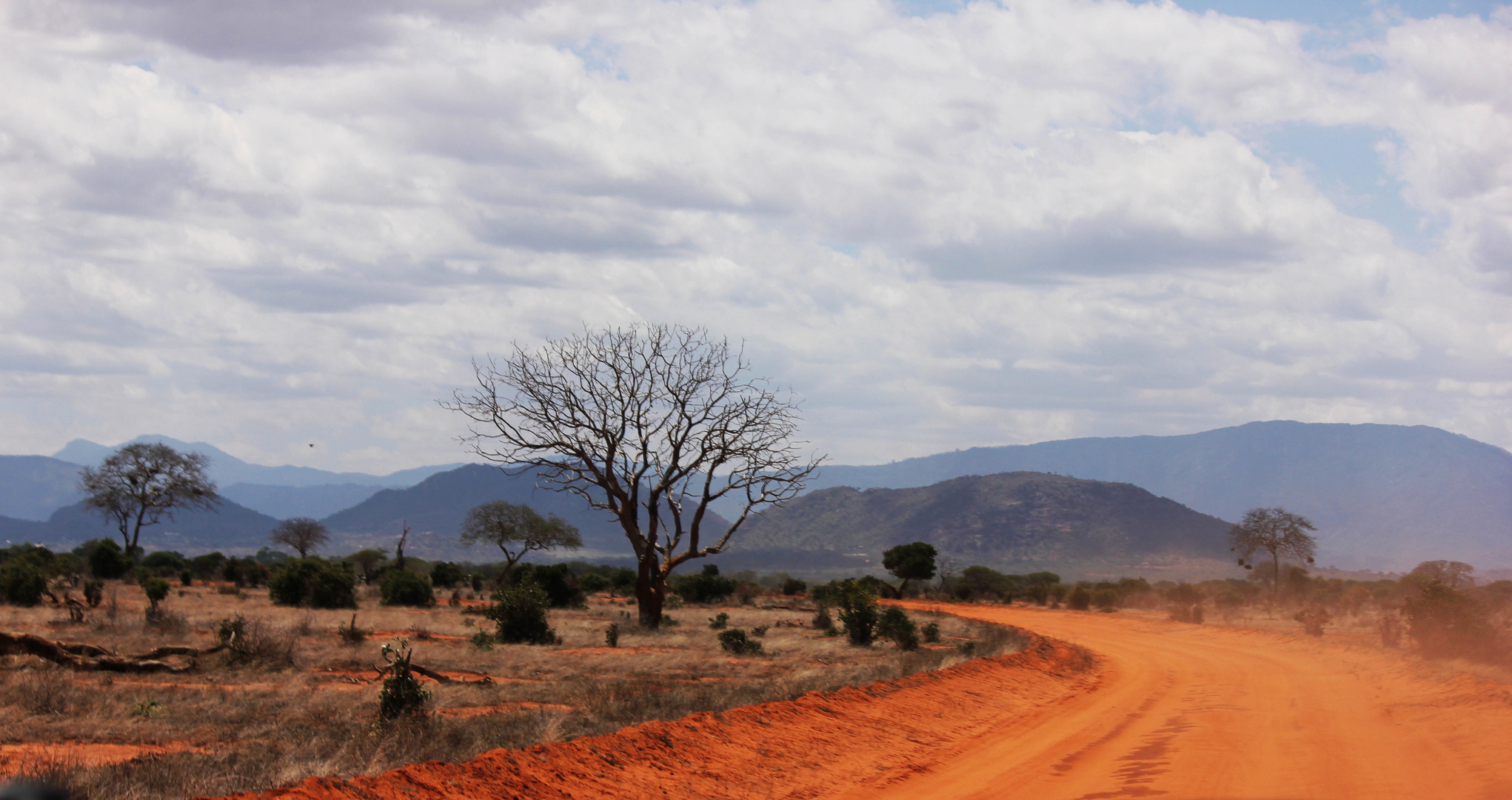 Tsavo West in Kenia auf Pirschfahrt