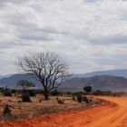 Tsavo West in Kenia auf Pirschfahrt