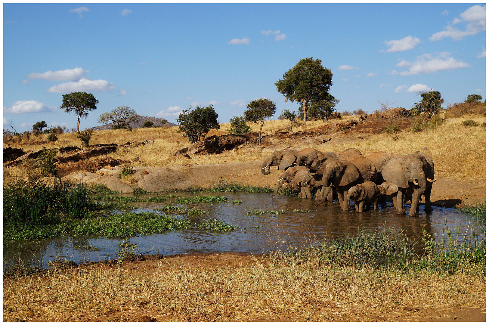 Tsavo West (Kenia)