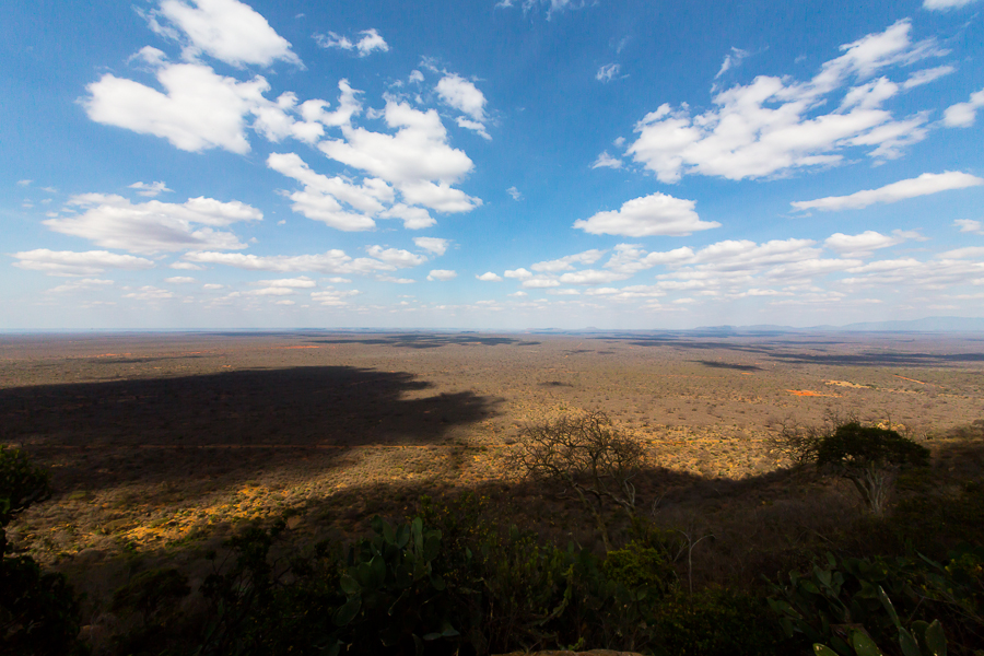 Tsavo West, Kenia