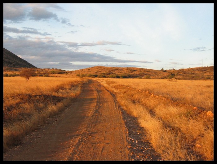 Tsavo West Nationalpark