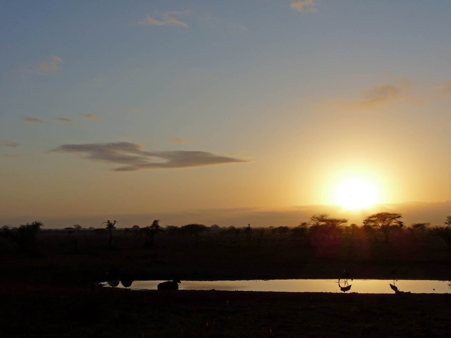 Tsavo West Nationalpark Kenia