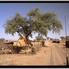 TSCHAD, unterwegs im Osten an der sudanesischen Grenze