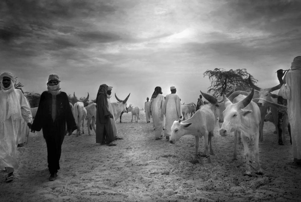Tschad, Viehmarkt