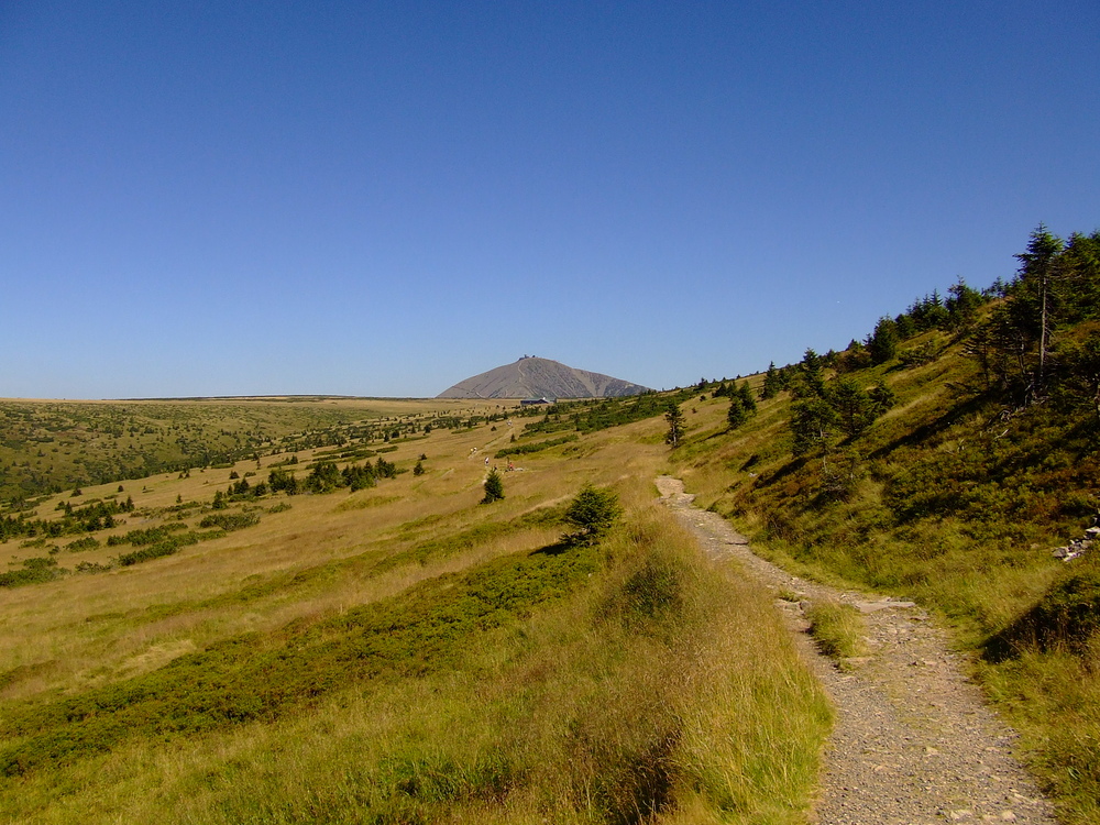 Tschechische Tundra