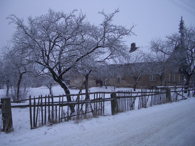 Tschechischer Bauernhof 2004