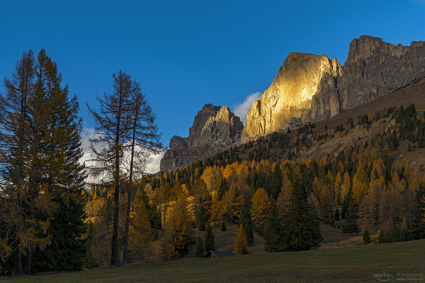 Tscheiner Spitze