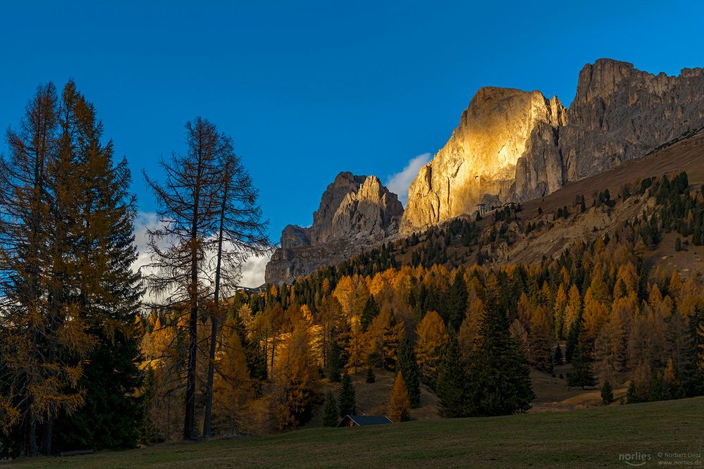 Tscheiner Spitze