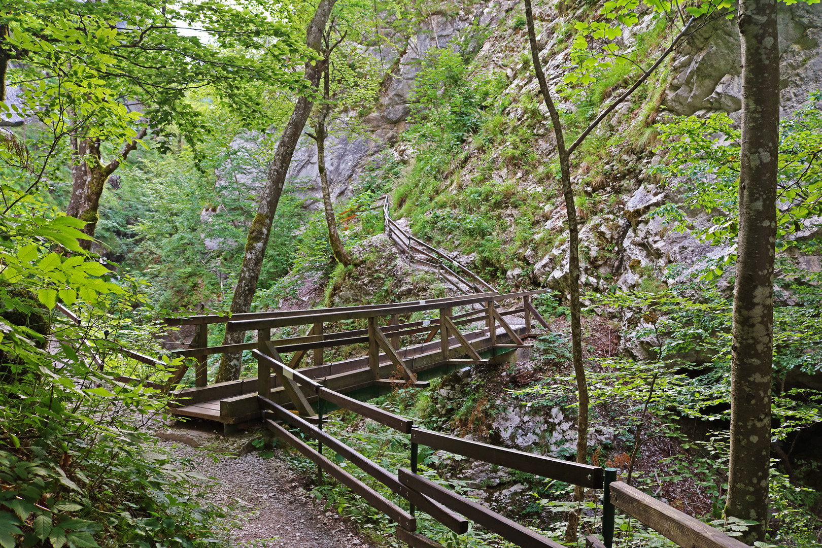 Tscheppaschlucht 2