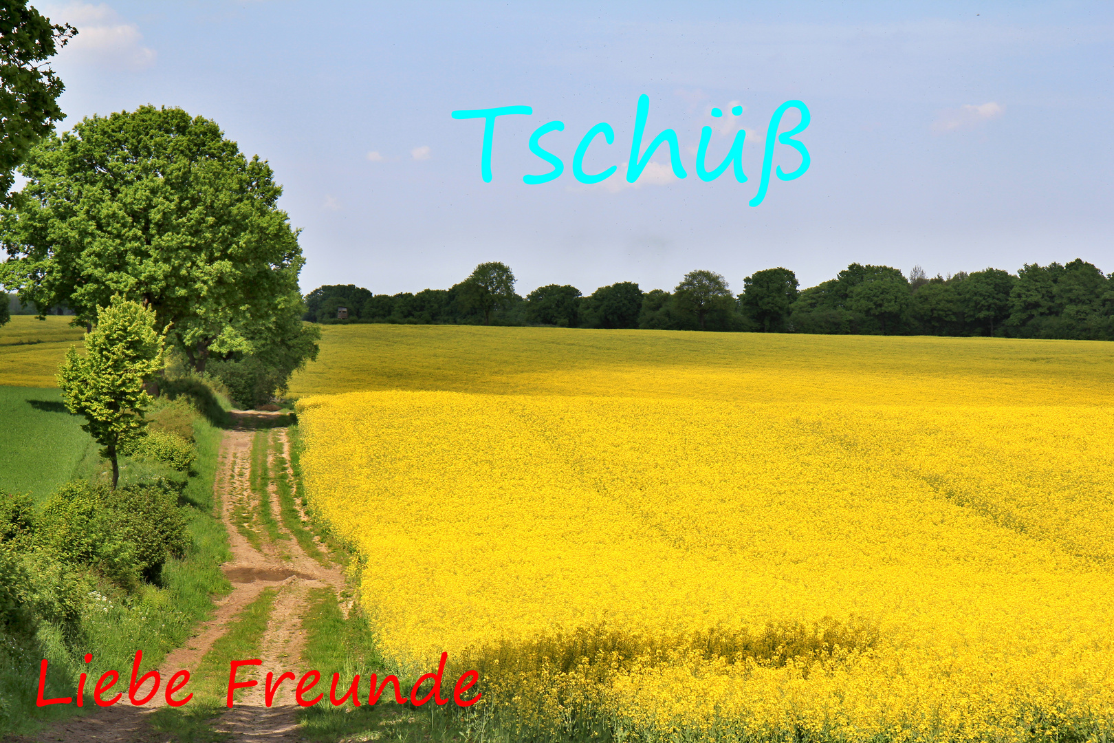 Tschüß