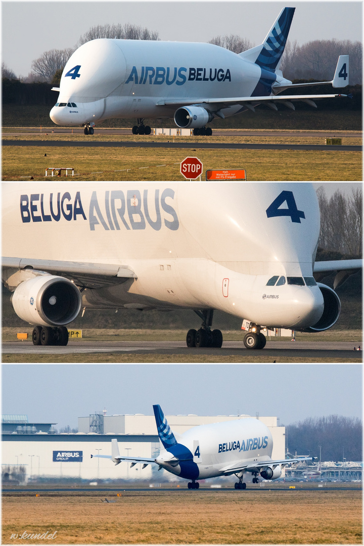 Tschüss Beluga