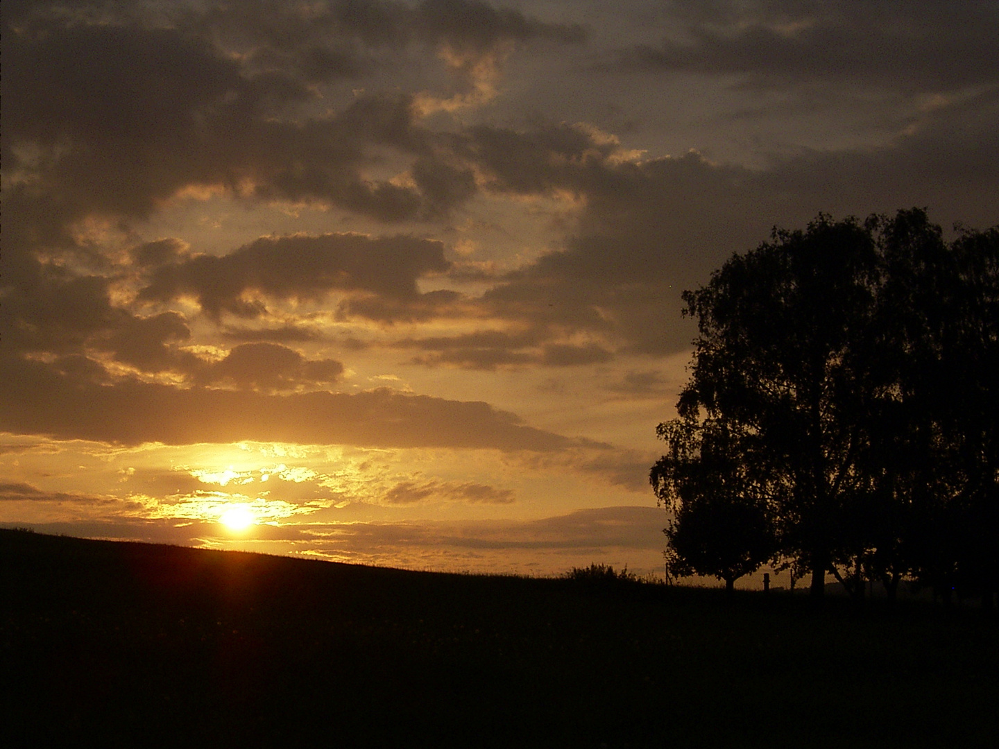 Bis Morgen Oder Bis Morgen Bis Morgen Oder Bis Morgen