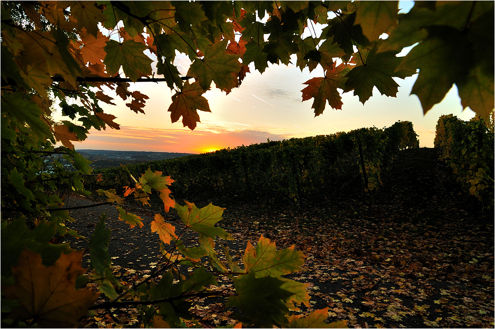 tschüss ... Herbst