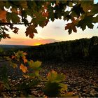 tschüss ... Herbst