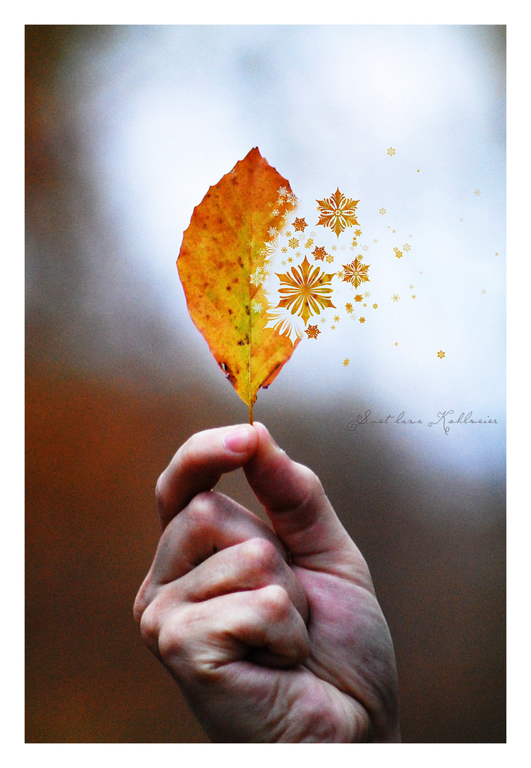 Tschüss Herbst! Hallo Winter!