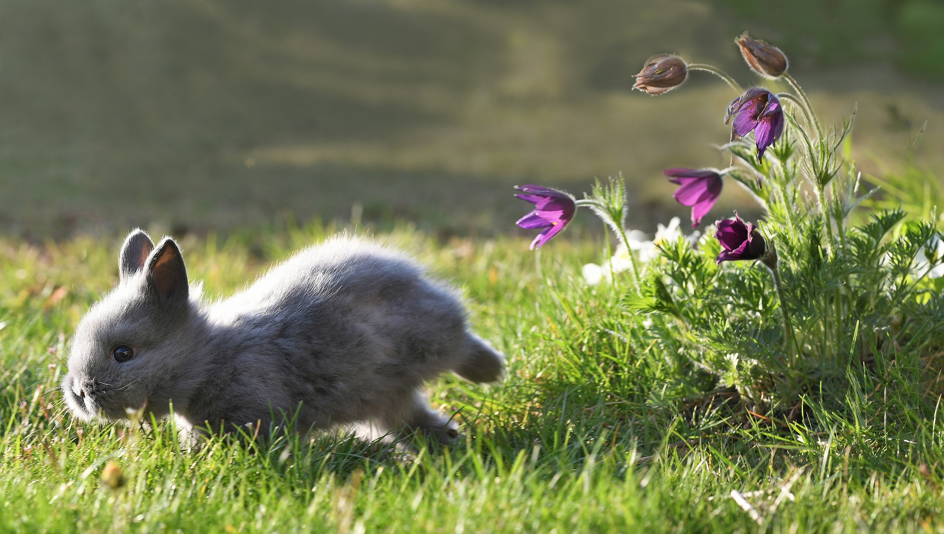 Tschüss Ostern