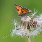 Tschüss Sommer