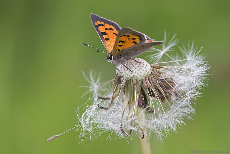 Tschüss Sommer