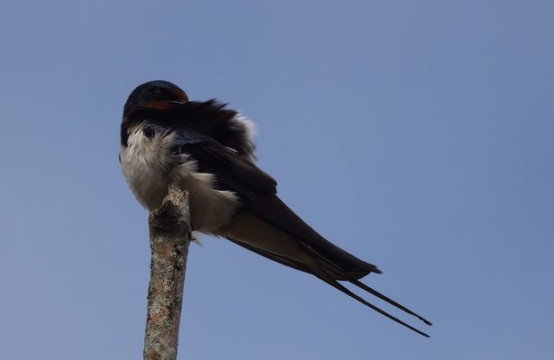 .*.*.*.*.  tschüss Sommer .*.*.*.*