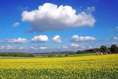 Tschüß Sommer