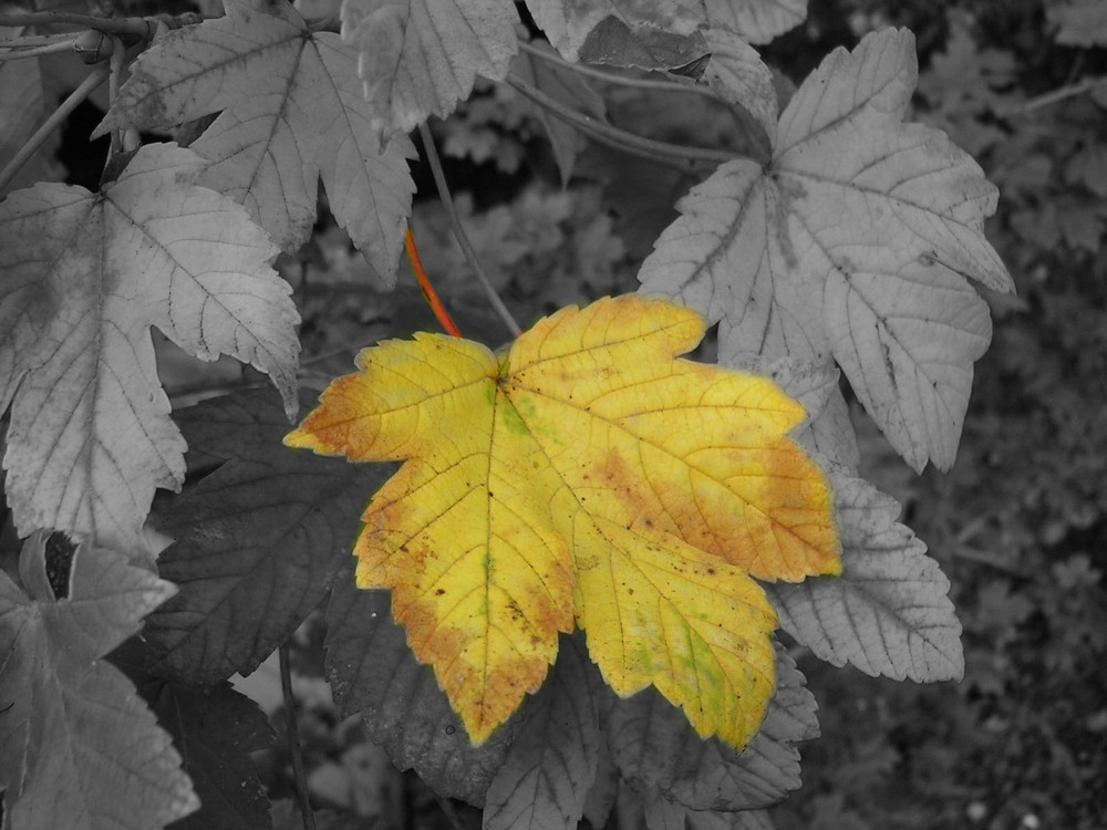 Tschüss Sommer!!