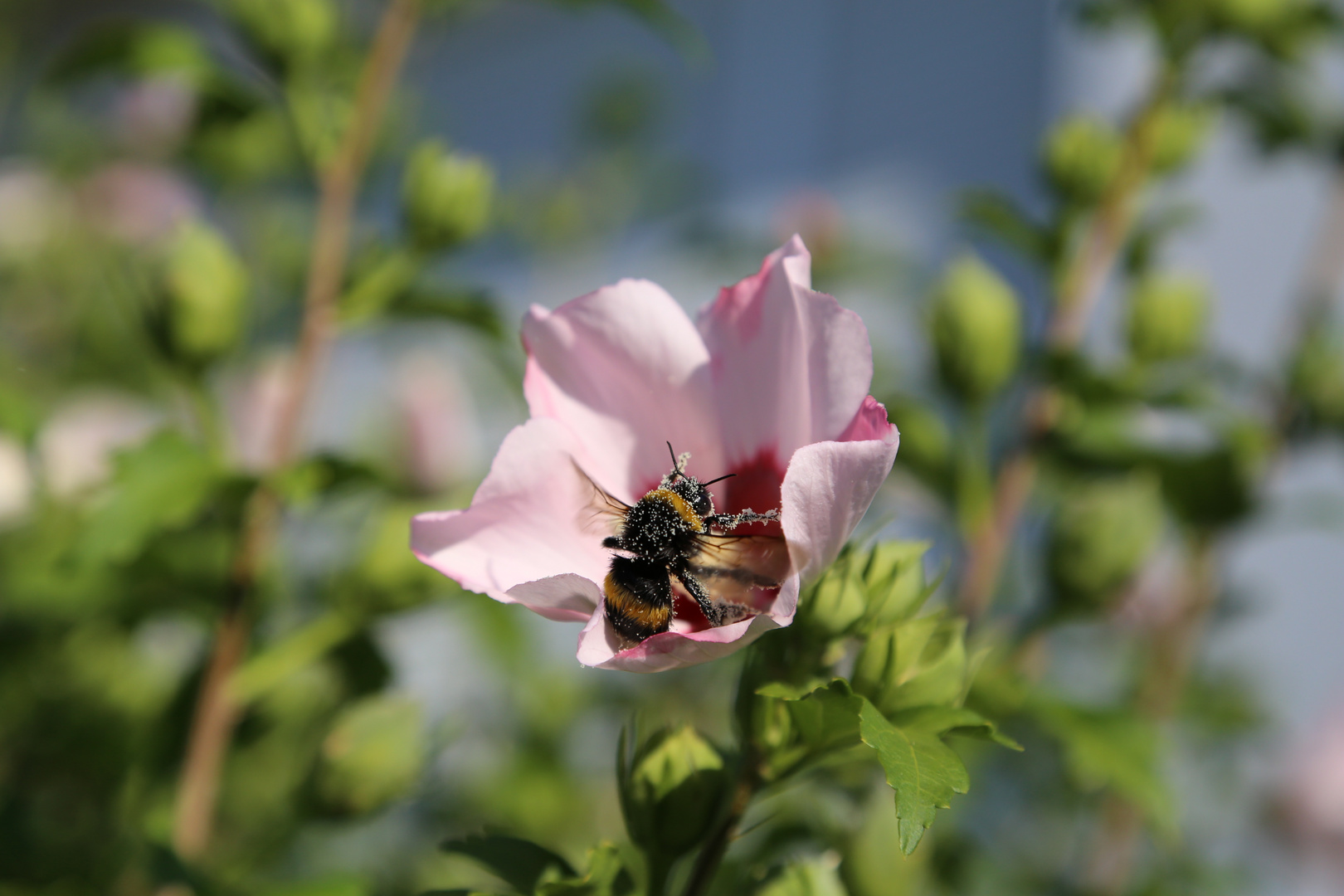 Tschüss Sommer, war schön.