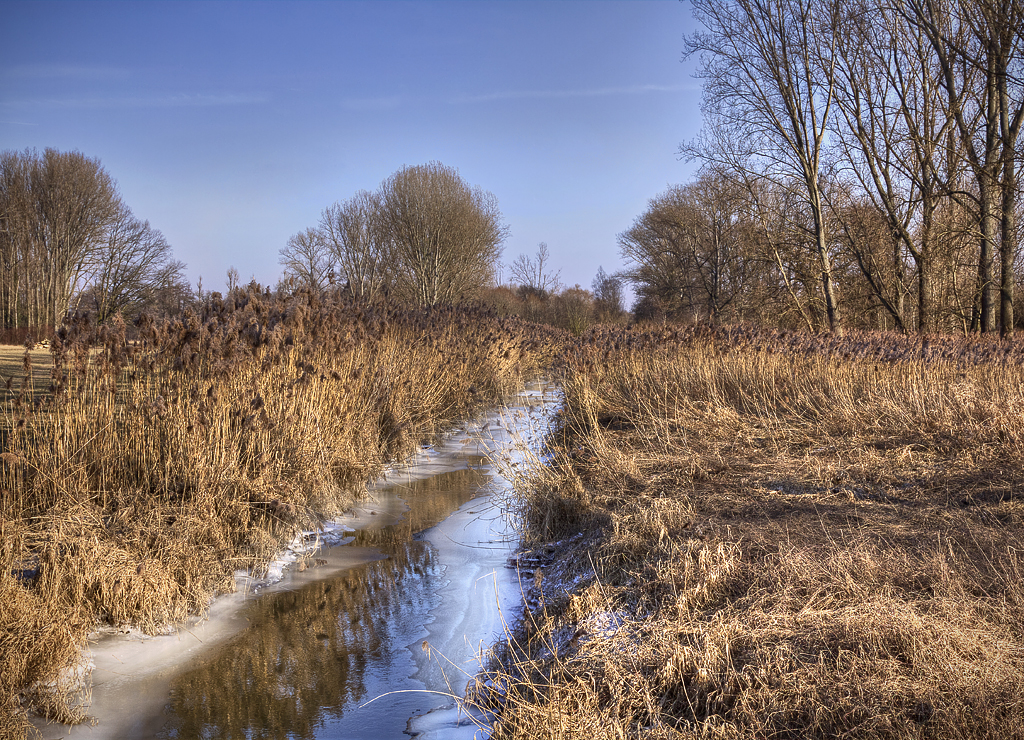 Tschüss Winter