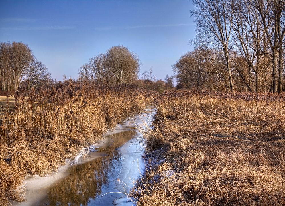 Tschüss Winter