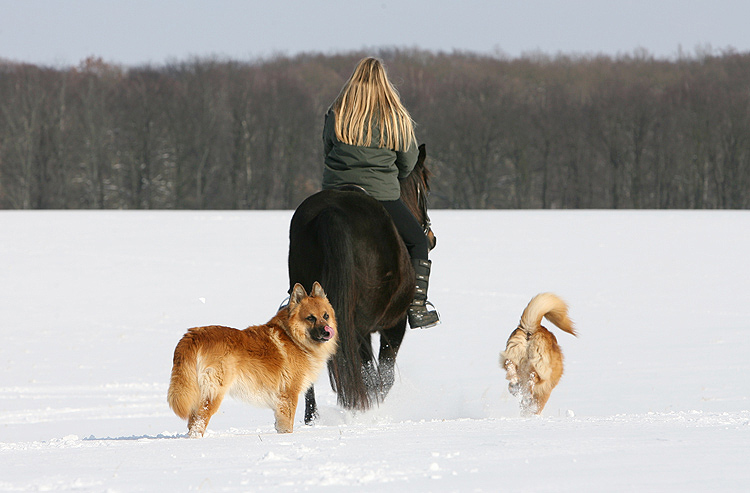 Tschüß Winter.....