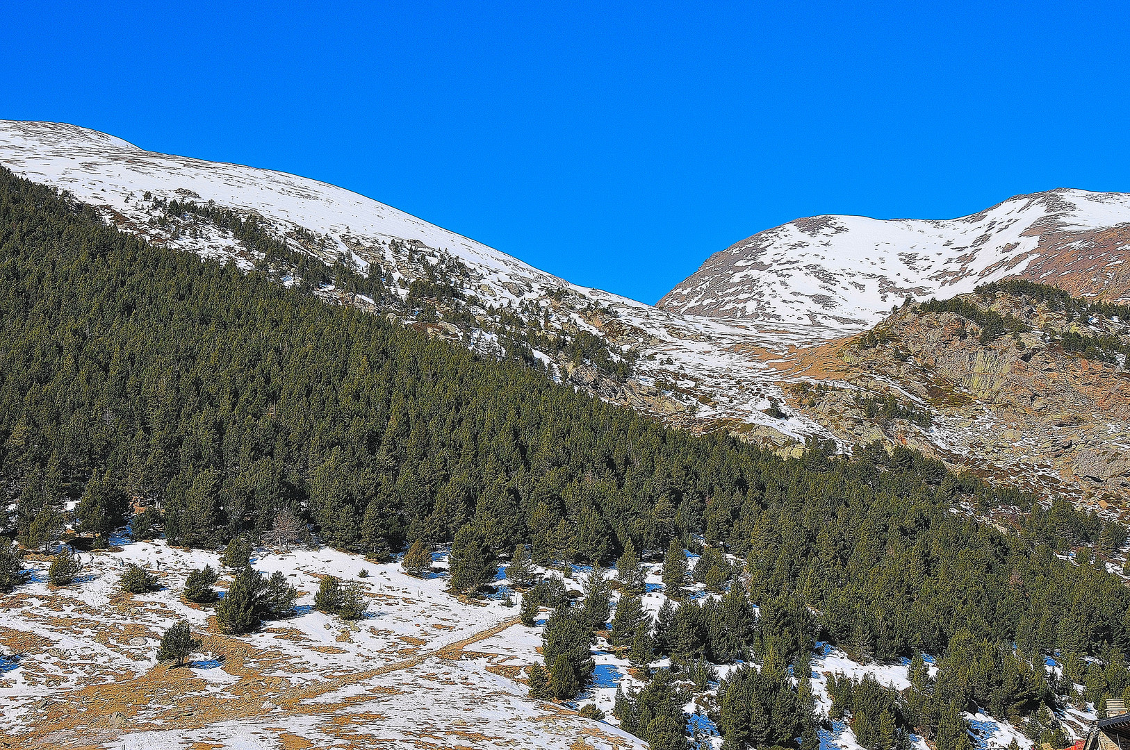 tschüss Winter