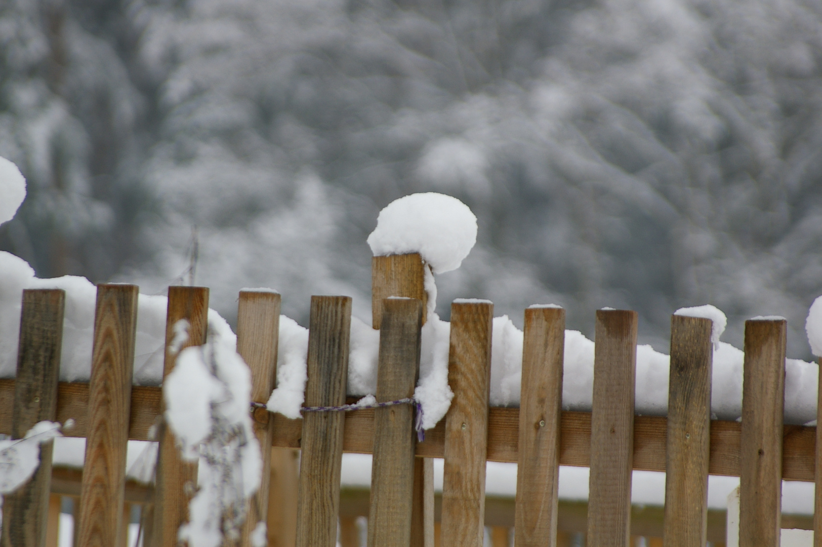 Tschüß Winter