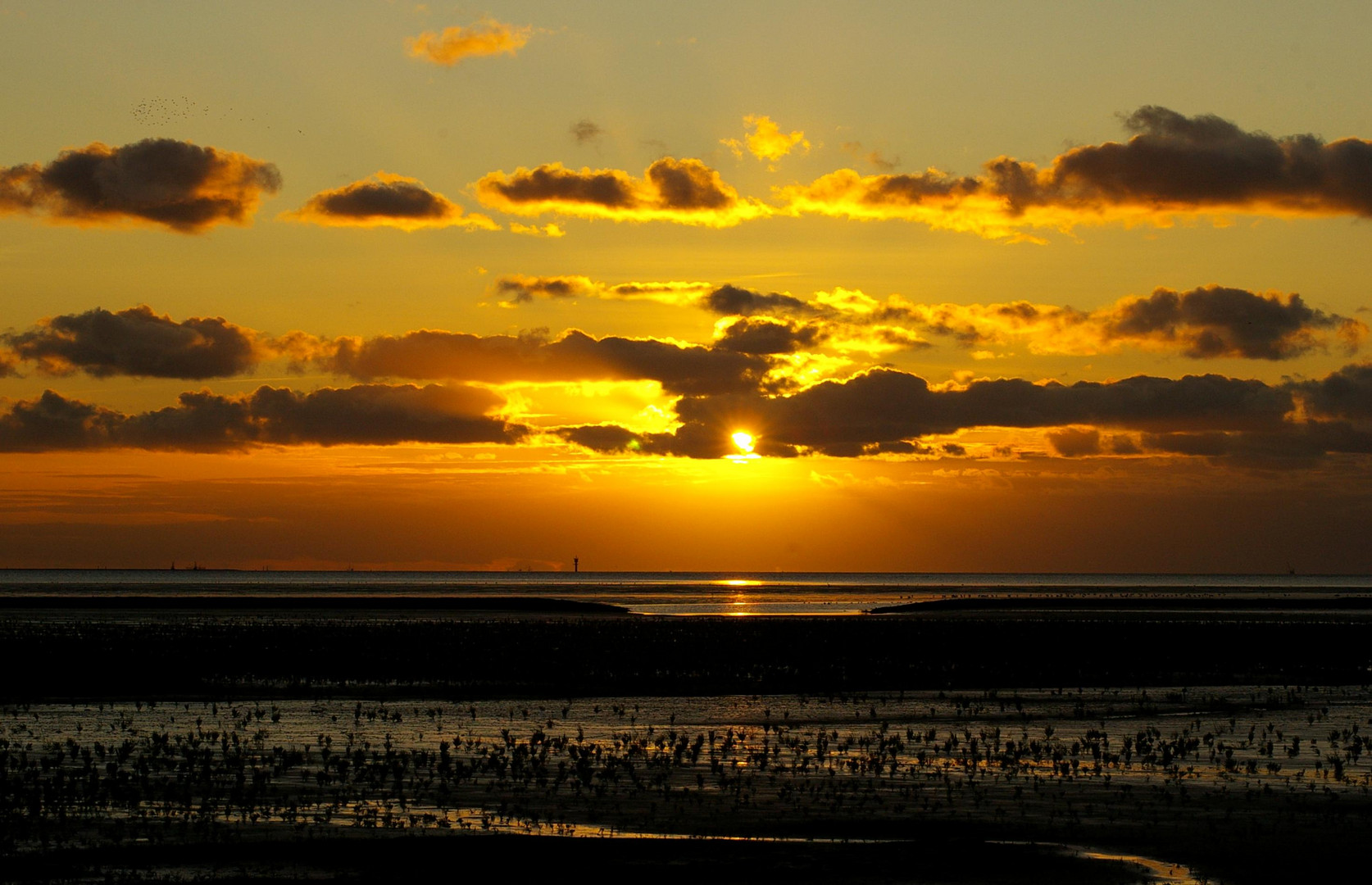 Tschüß Winter.....der Frühling ist da........Ostfriesland