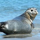 Tschüß_Helgoland