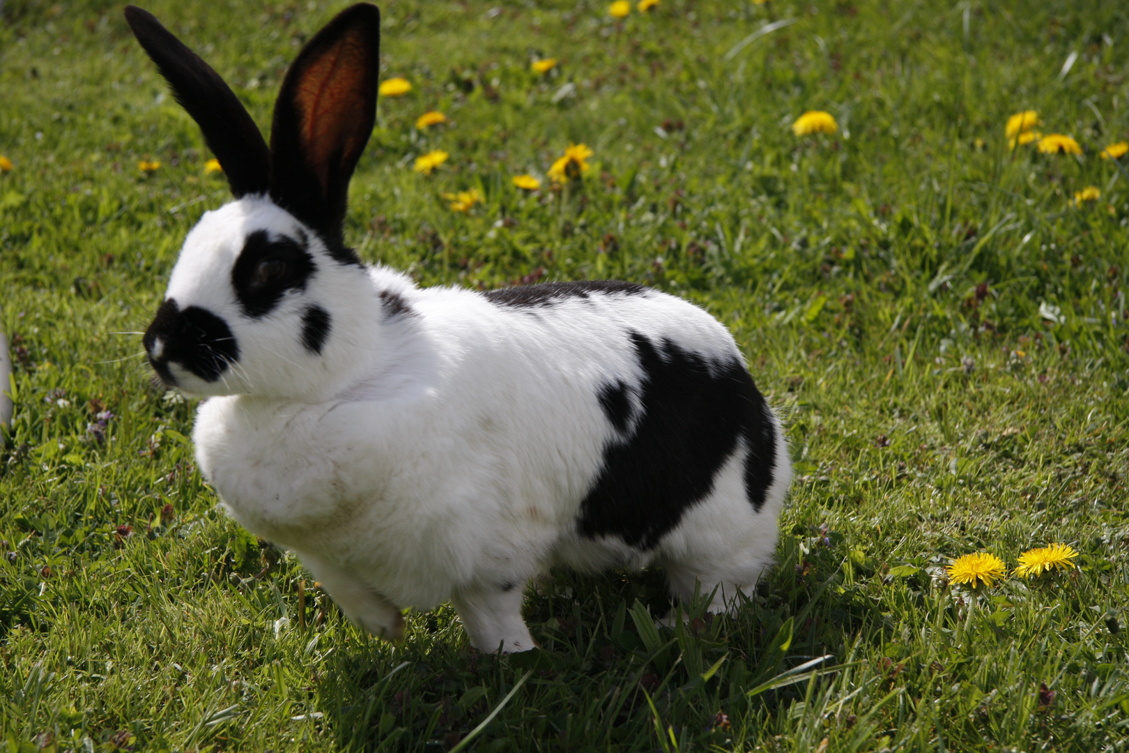 Tschüsssss, Ostern ist vorbei