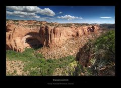 Tsegi Canyon