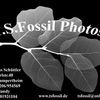 T.S.Fossil-Photos