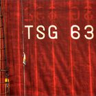TSG 632