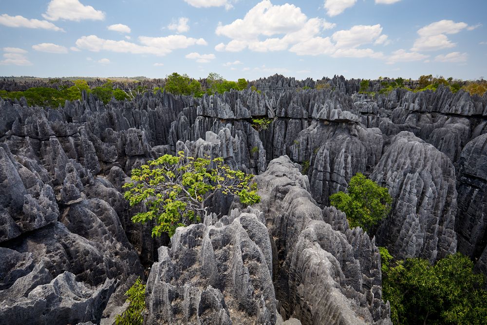 Tsingy 2 Foto & Bild world, natur, landschaft Bilder auf