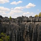 Tsingy de Bemaraha- Die Festung der Artenvielfalt