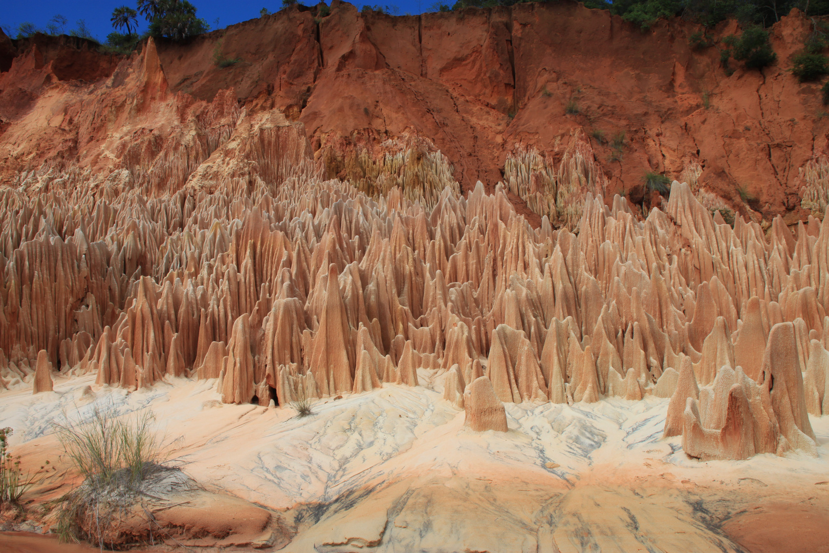 Tsingy Madagaskar- bizzare Kalkfelsen