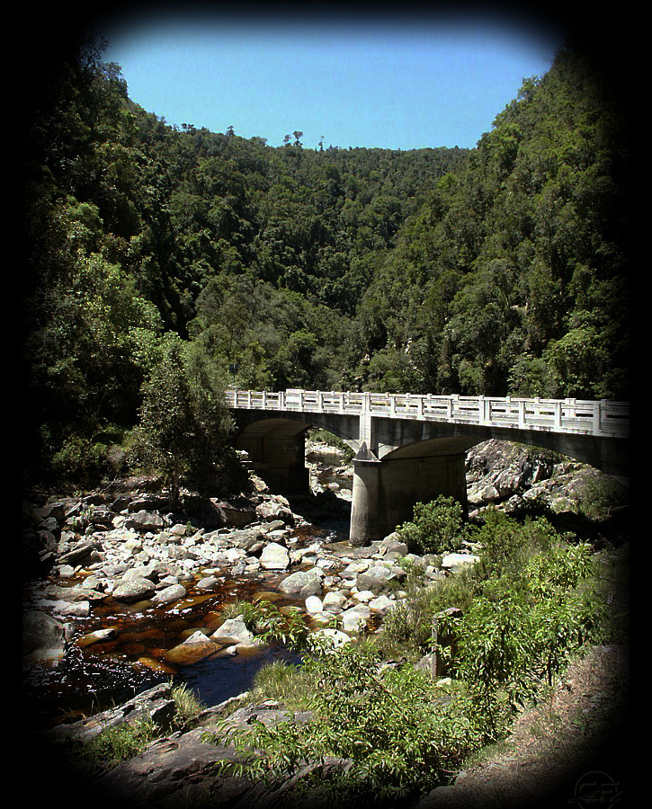 Tsitsikama National Park