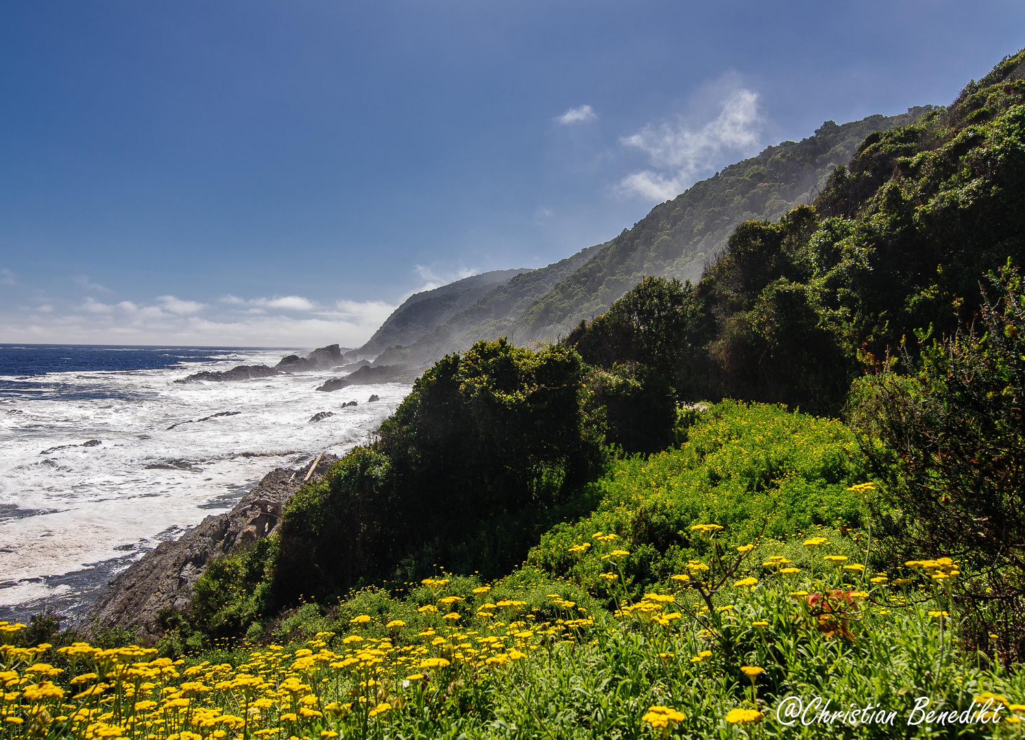 Tsitsikamma National Park