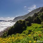 Tsitsikamma National Park