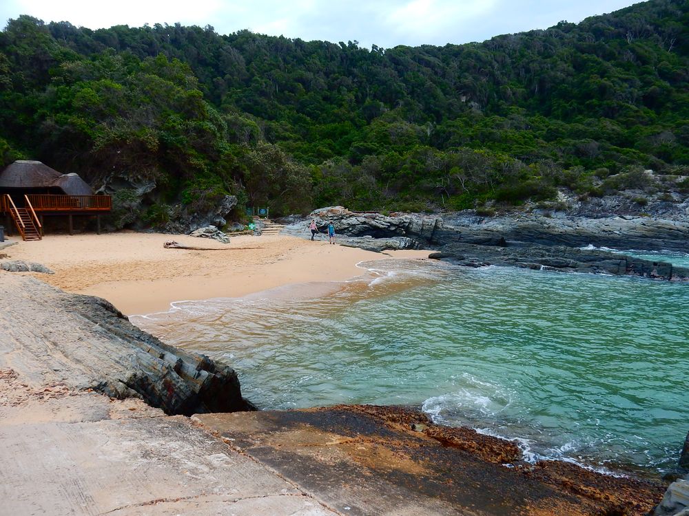 Tsitsikamma National Park South Africa