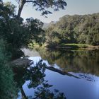 Tsitsikamma Nationalpark