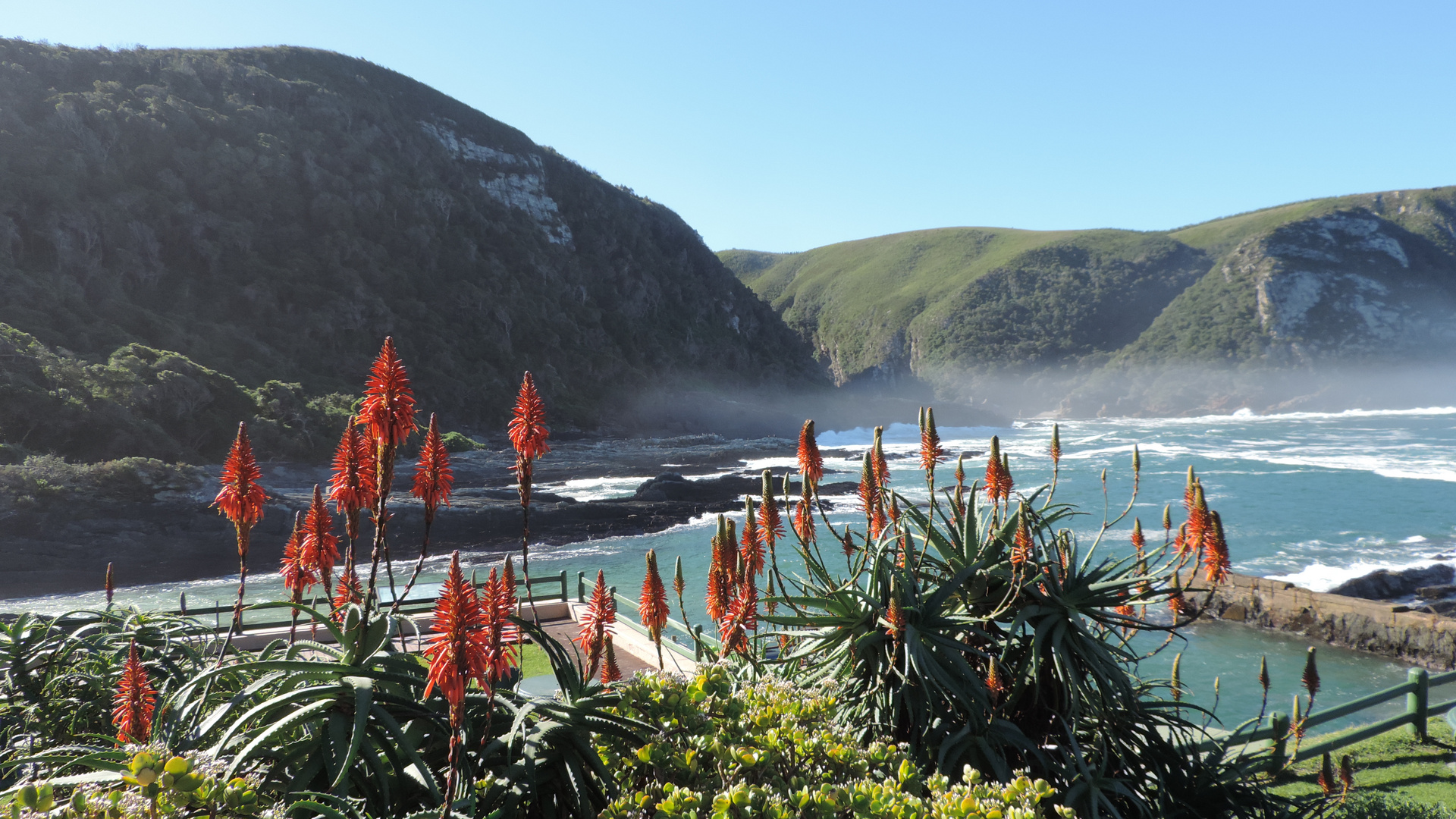 Tsitsikamma Nationalpark