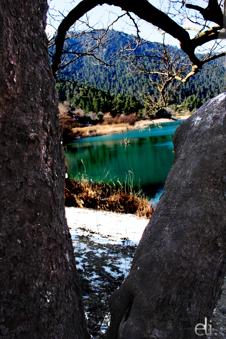 Tsivlou Lake (Achaia Greece)