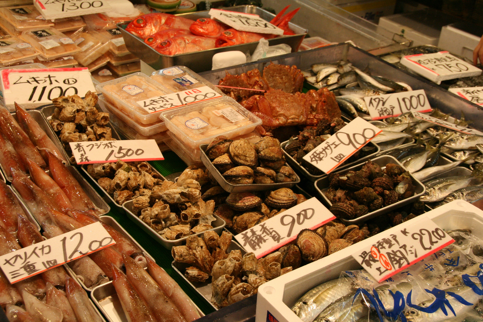 Tsukiji Fischmarkt Tokyo