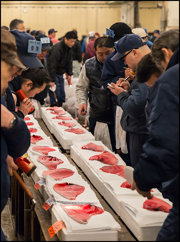 Tsukiji Fish Market 2