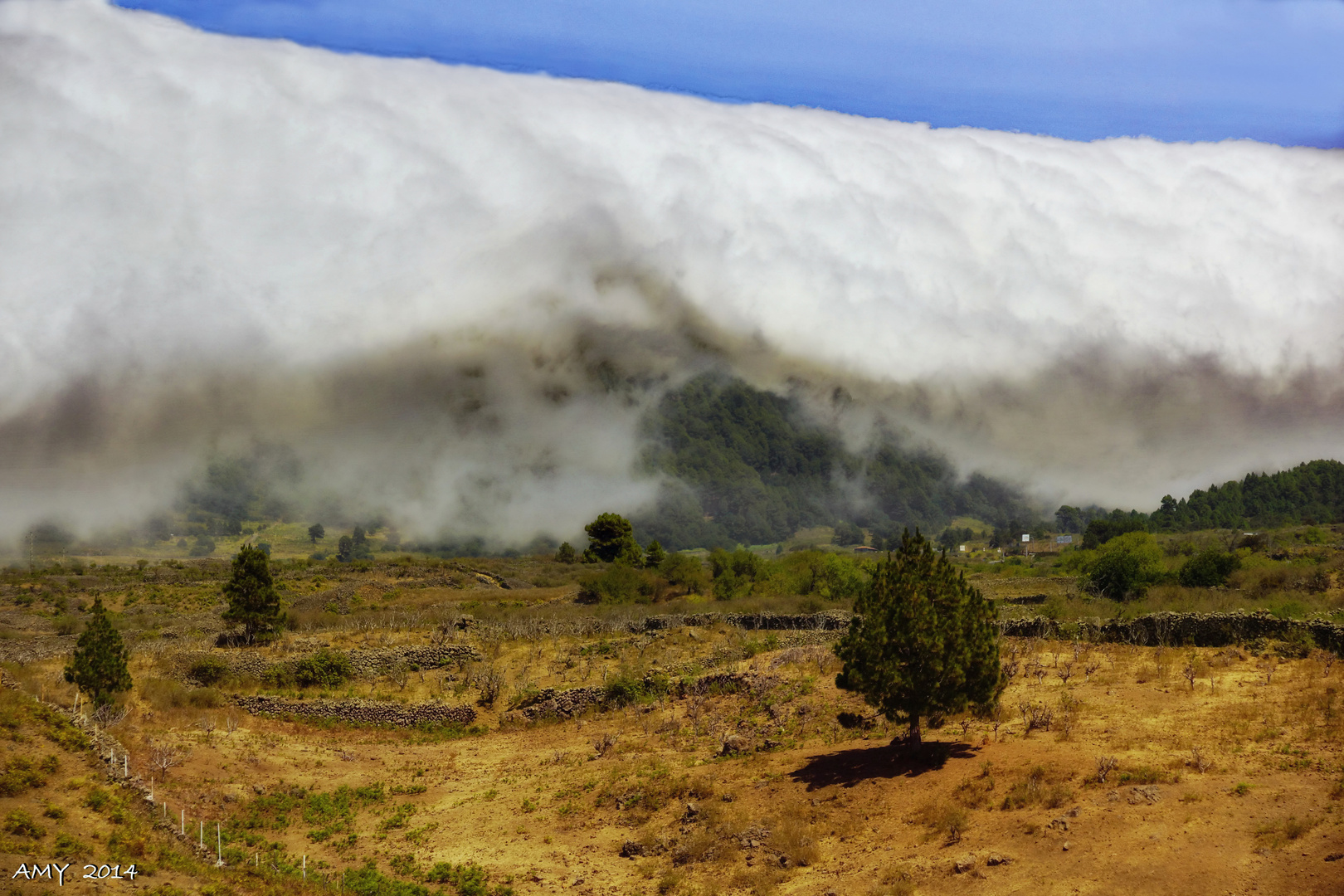 TSUNAMI NEBULOSO O EFECTO FOEHN (EL PASO / LA PALMA). Dedicada a MARI CARMEN MARCOS BÁSCONES.